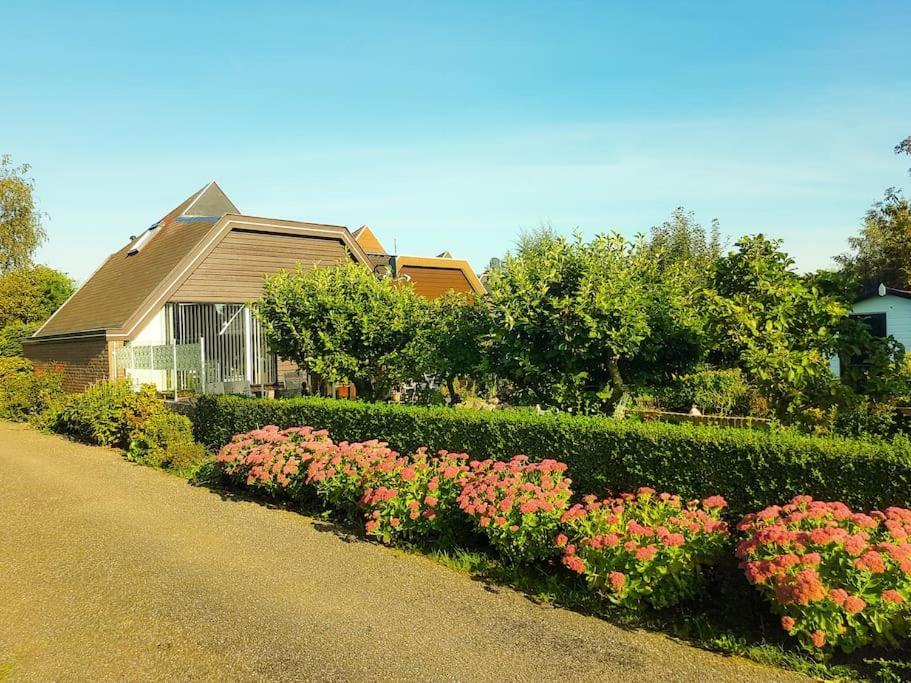 OpmeerLovely House Till 6 P. Near Amsterdam, Sea公寓 外观 照片