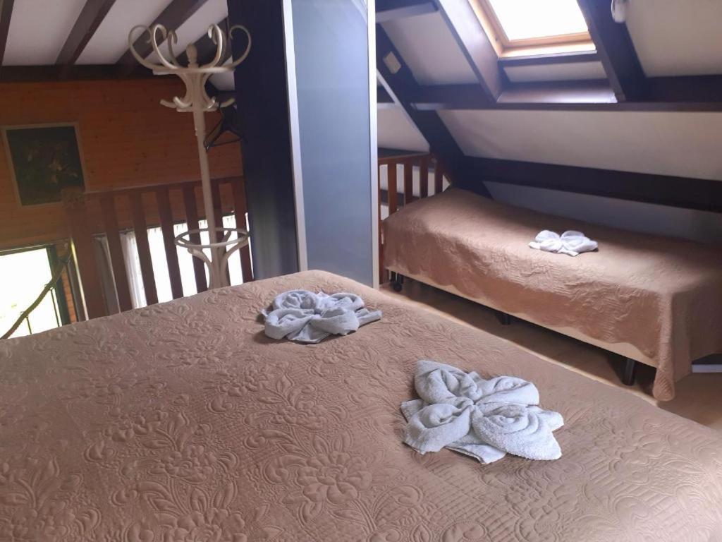 OpmeerLovely House Till 6 P. Near Amsterdam, Sea公寓 外观 照片